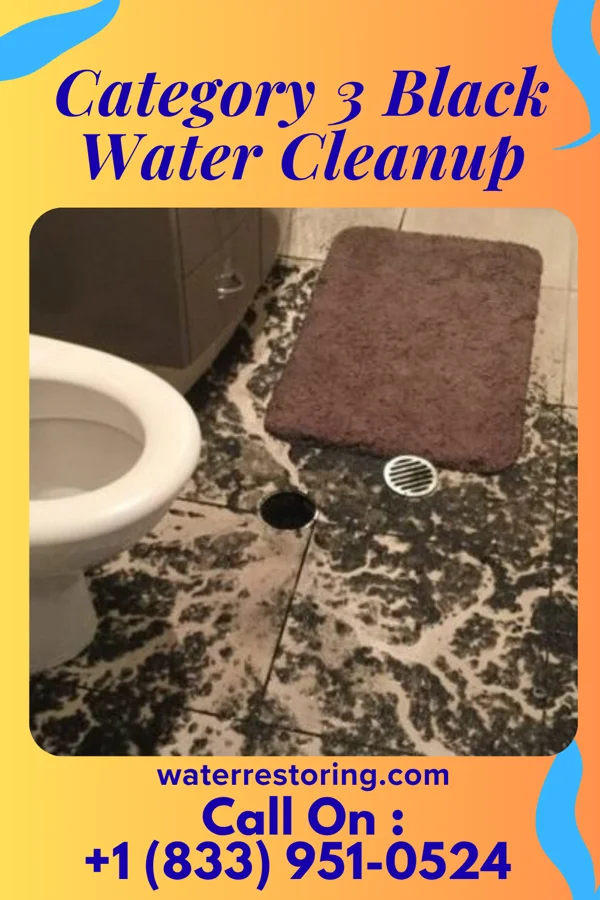 Category 3 Black Water Cleanup in Rio Lucio, NM